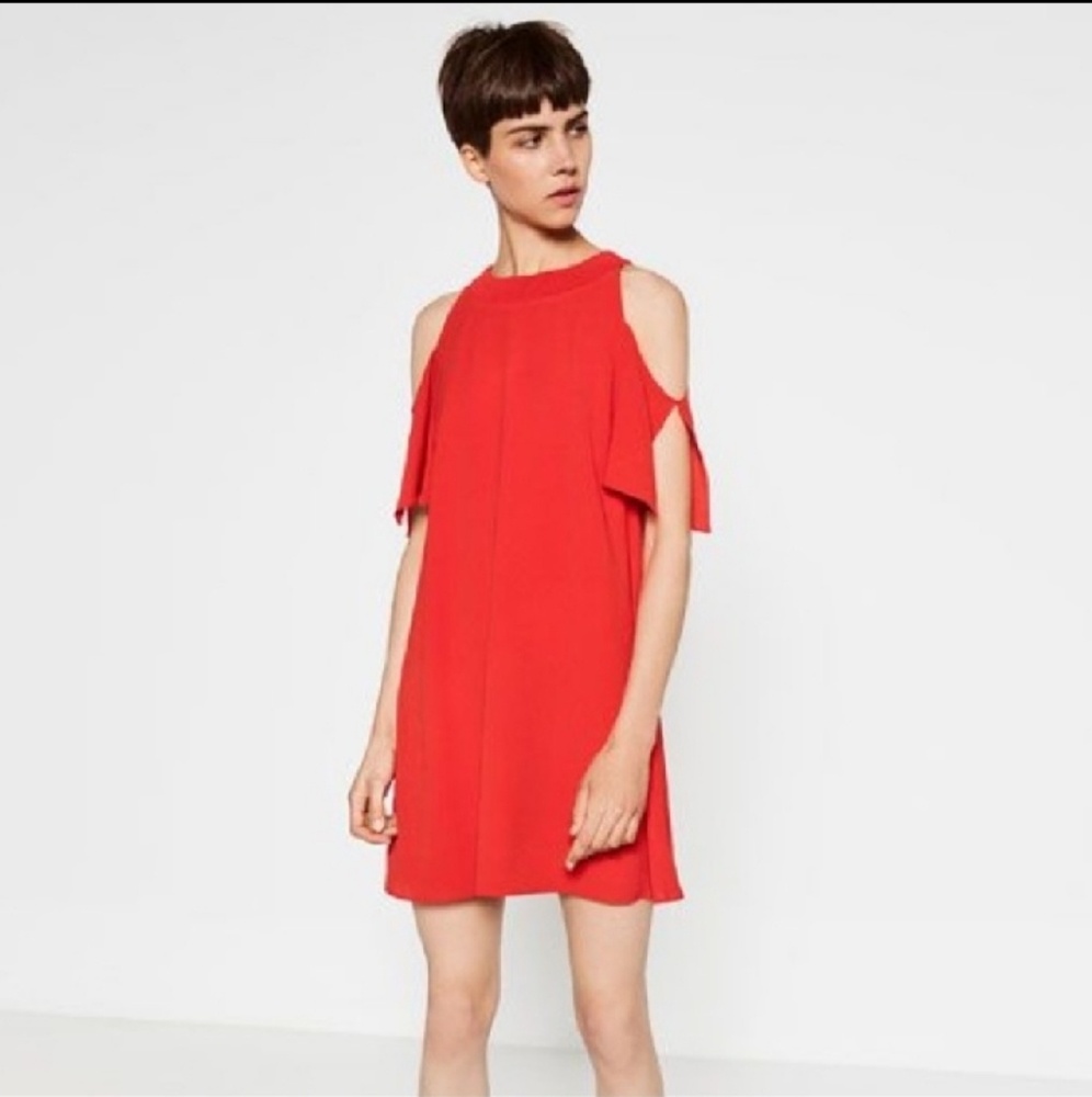 Zara Dress - Picture 1 of 5